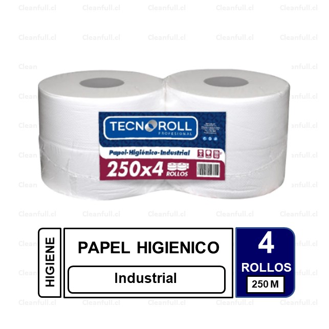PAPEL HIGIENICO TECNOROLL DH 4 X 250MT