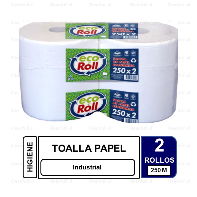 TOALLA DE PAPEL ECOROLL 2 ROLLOS X 250 M