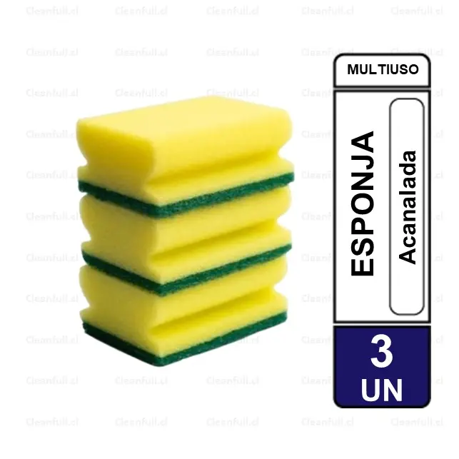 ESPONJA ACANALADA TEDDY PACK 3 UN