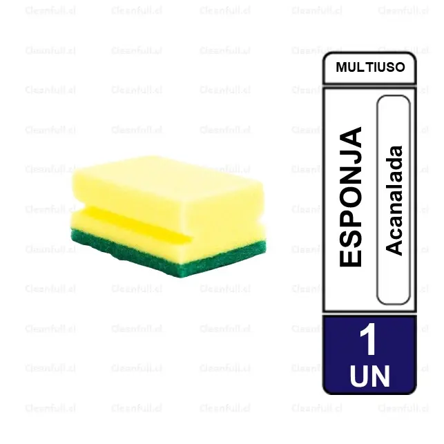ESPONJA ACANALADA TEDDY 1 UN