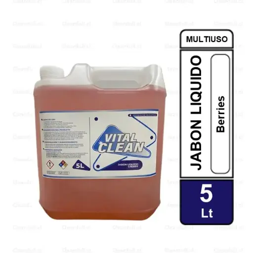 [JJ0002] JABON LIQUIDO ECOSAFE GLICERINA BERRIES 5LT
